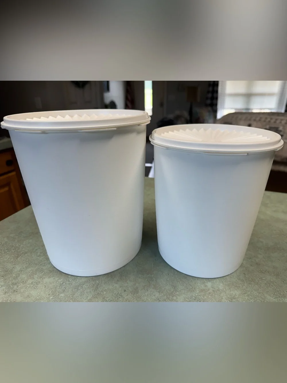 Vintage Tupperware Plastic Storage Canisters with Lids - Set of 2